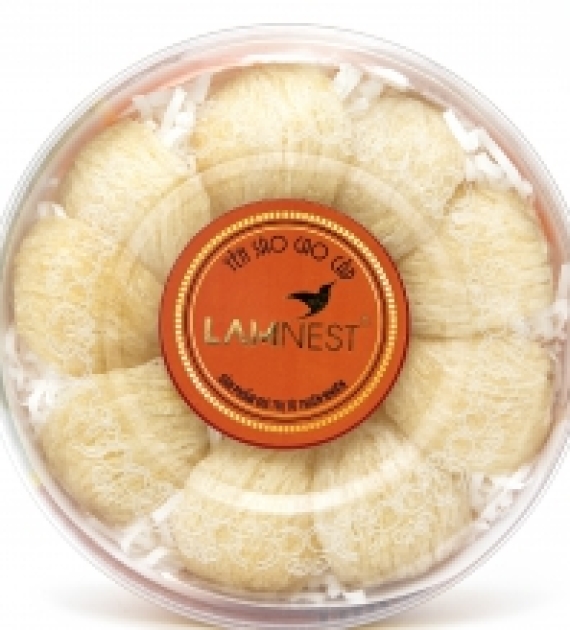 TỔ YẾN RÚT LÔNG 